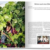 Reben nach dem Glück: Na dann prost: Drei Freunde auf Weinreise in der Pfalz