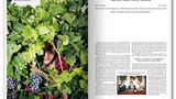 Reben nach dem Glück: Na dann prost: Drei Freunde auf Weinreise in der Pfalz