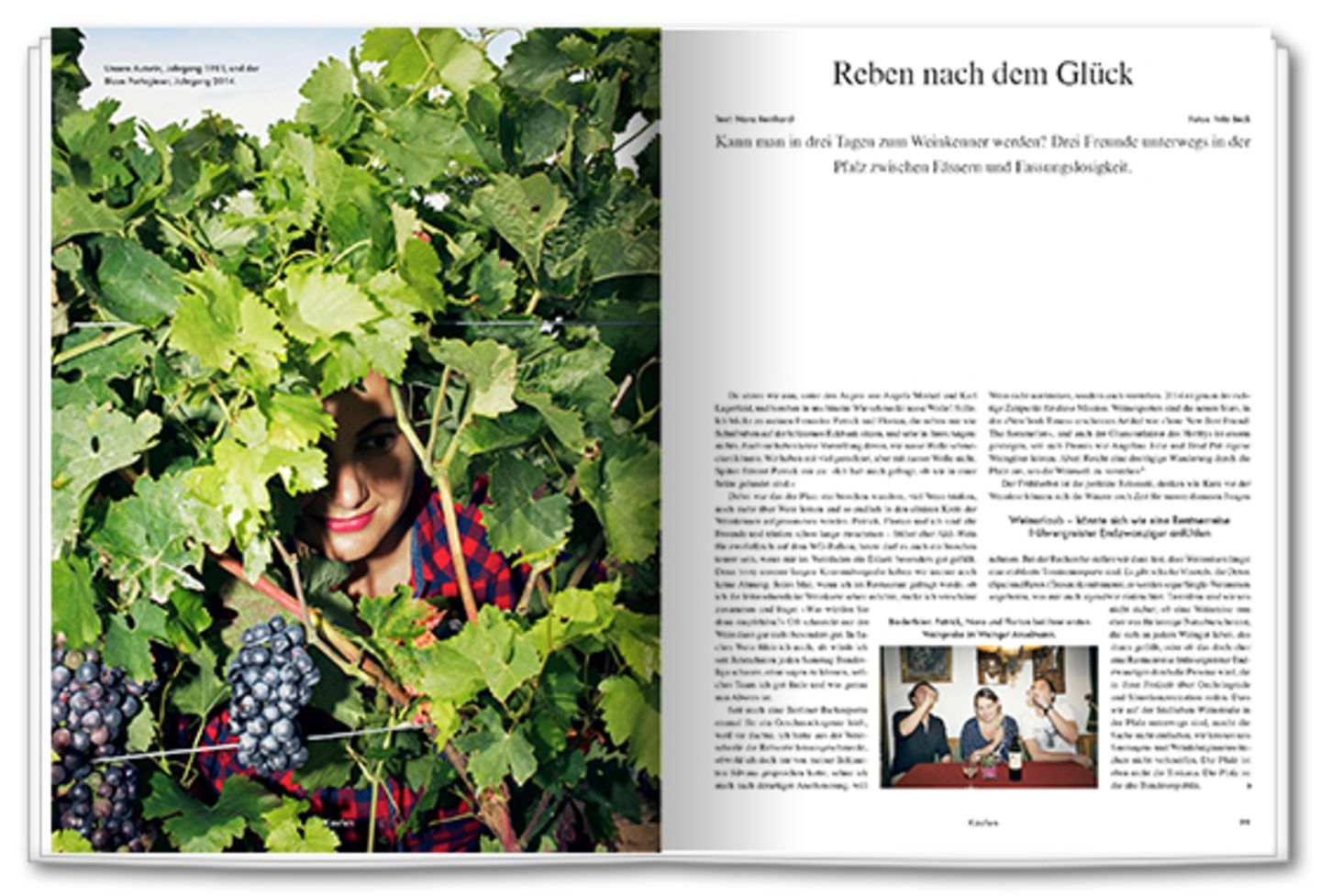 Reben nach dem Glück: Na dann prost: Drei Freunde auf Weinreise in der Pfalz