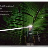 Ein Frosch trifft Wittgenstein. Ayahuasaca ist eines der stärksten Halluzinogene. Unser Autor hat es im Dschungel von Peru getrunken.