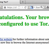 Wenn die Verbindung zum Tornetz steht, öffnet sich automatisch der TorBrowser mit einer Erfolgsmeldung.
