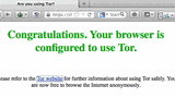 Wenn die Verbindung zum Tornetz steht, öffnet sich automatisch der TorBrowser mit einer Erfolgsmeldung.