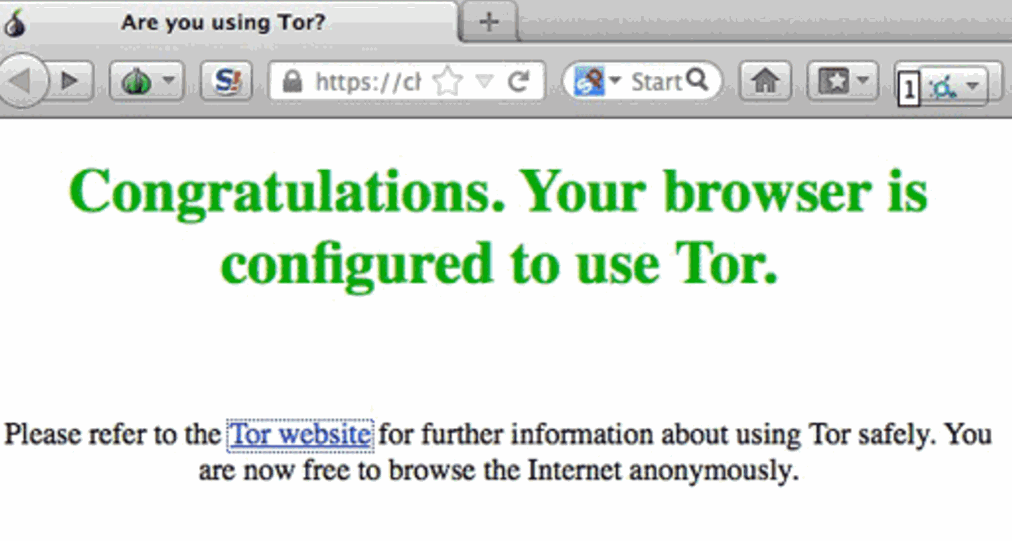 Wenn die Verbindung zum Tornetz steht, öffnet sich automatisch der TorBrowser mit einer Erfolgsmeldung.
