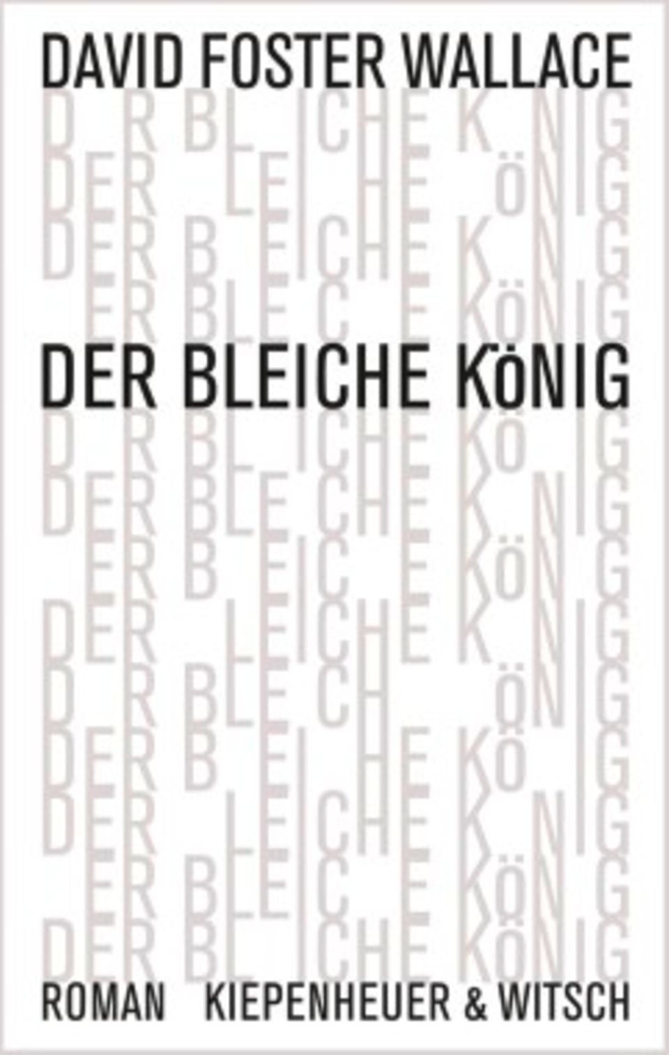 Freizeit: Literaturkritiken: David Foster Wallace und Ben Fountain
