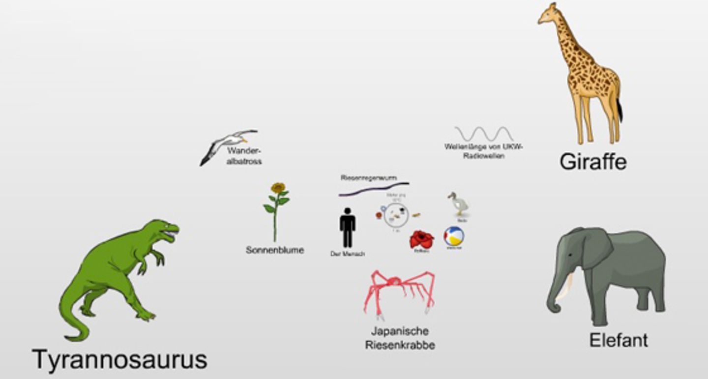 Freizeit: Screenshot von http://htwins.net/scale2/