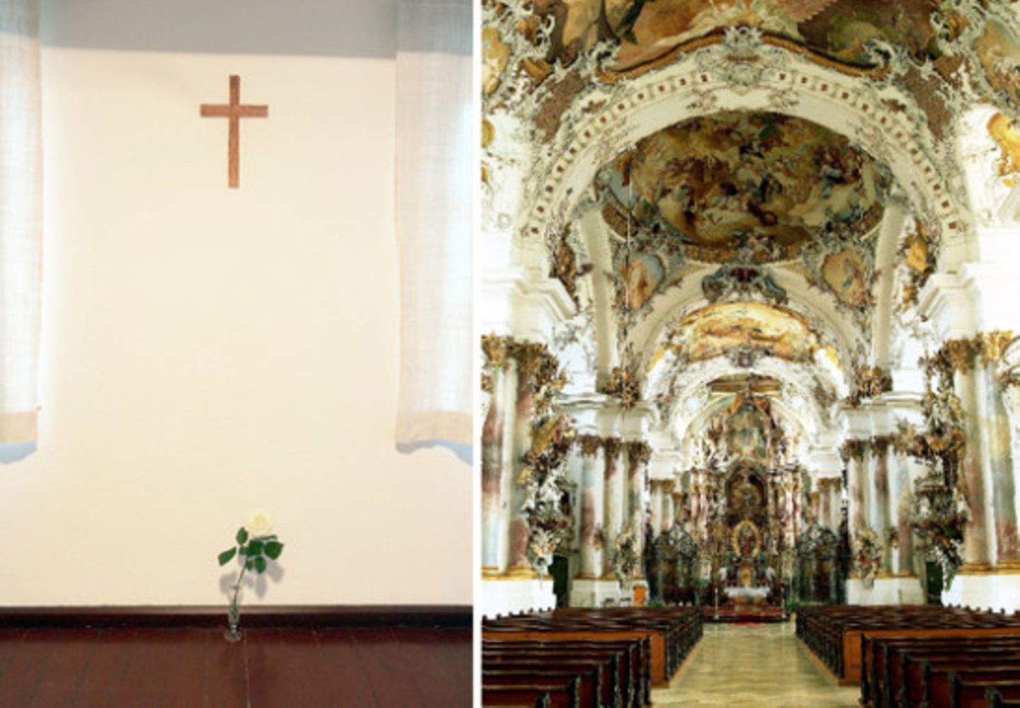 Wissen: Fotos: Dietrich Rose / Picture Alliance, Chris Wallberg / Picture Alliance