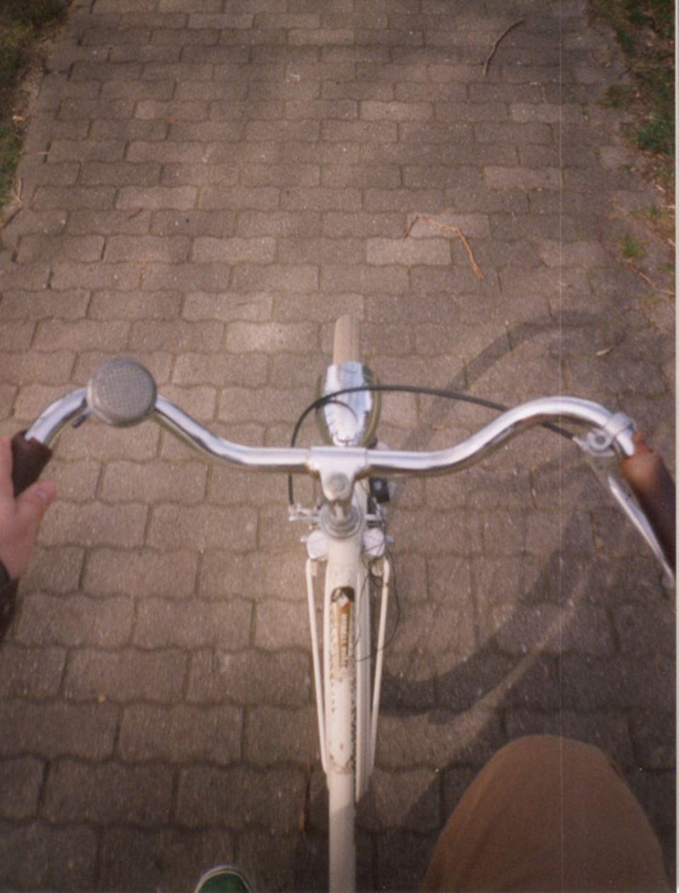 Freizeit: Wie siehst du das? … I LIKE BIRDS