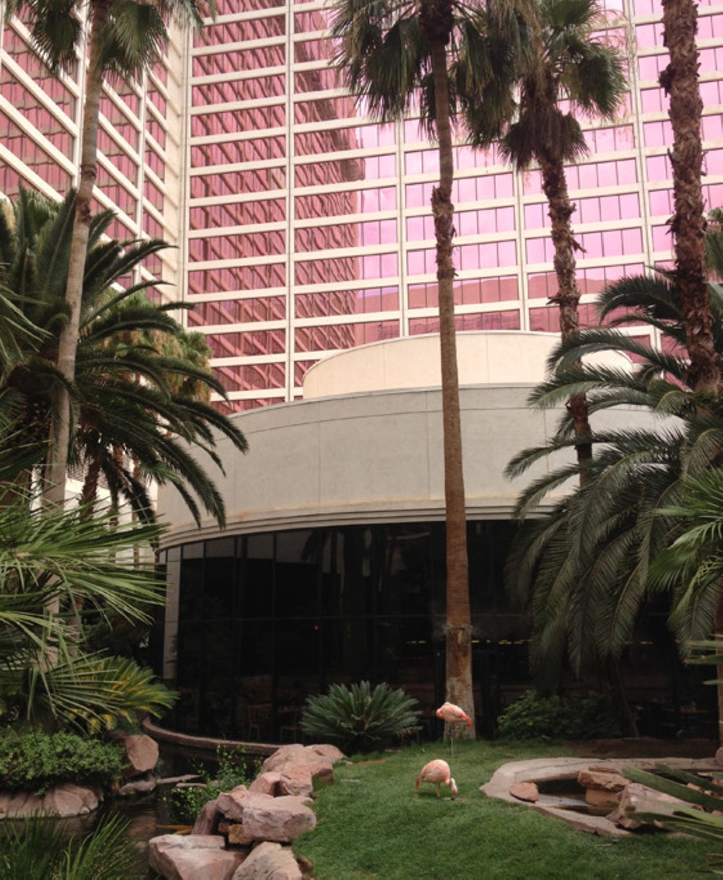 Der Hotelriegel hat 3.626 Zimmer und jedes einzelne kann wahrscheinlich schreckliche Geschichten erzählen: Von Nutten, Drogen, Selbstmorden und finanziellem Ruin. Im Hotelgarten läuft Bruno Mars in Endlosschleife. Las Vegas ist kein Disneyland für Erwachsene, sondern eine Irrenanstalt.