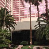 Der Hotelriegel hat 3.626 Zimmer und jedes einzelne kann wahrscheinlich schreckliche Geschichten erzählen: Von Nutten, Drogen, Selbstmorden und finanziellem Ruin. Im Hotelgarten läuft Bruno Mars in Endlosschleife. Las Vegas ist kein Disneyland für Erwachsene, sondern eine Irrenanstalt.