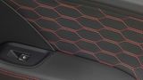 MTM Audi RS3 R - auch in den Türen gibt es Rauten