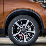 Die 19-Zöller füllen die Radhäuser gut aus