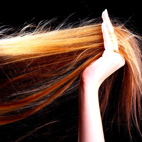 Repair-Shampoos im Test