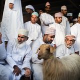 Ziegenmarkt in Nizwa, Oman
