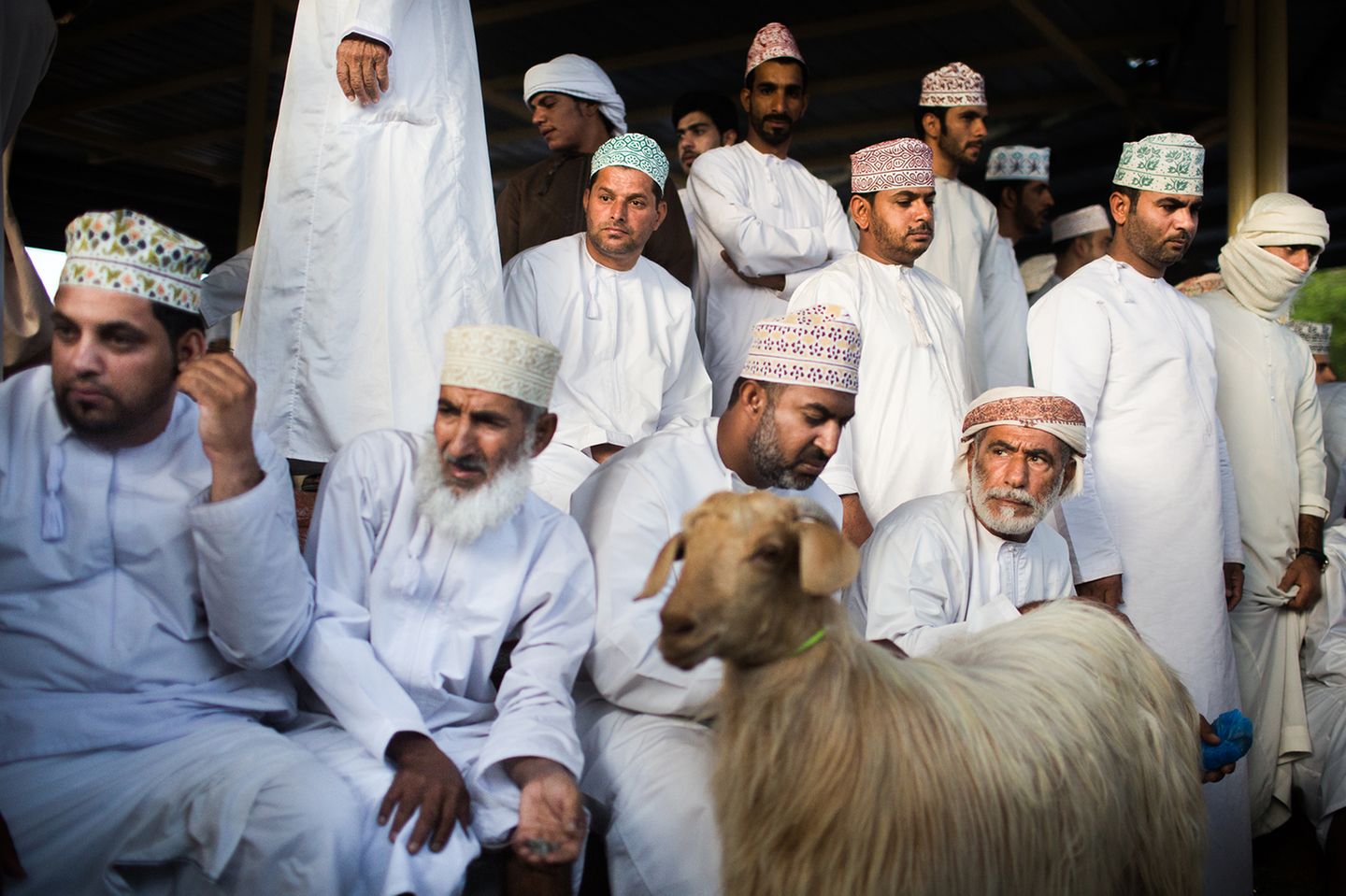 Ziegenmarkt in Nizwa, Oman