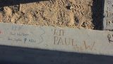Paul Walker (113)