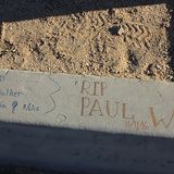 Paul Walker (113)