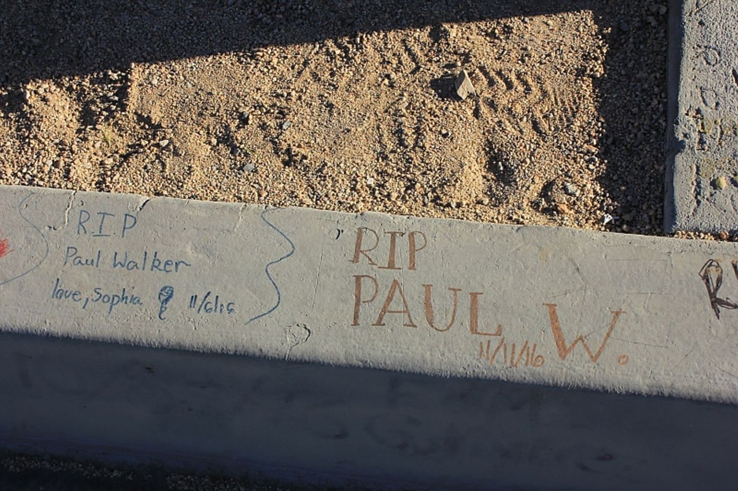 Paul Walker (113)