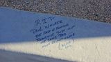 Paul Walker (114)