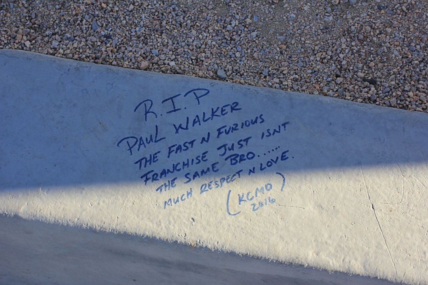 Paul Walker (114)