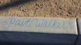 Paul Walker (115)