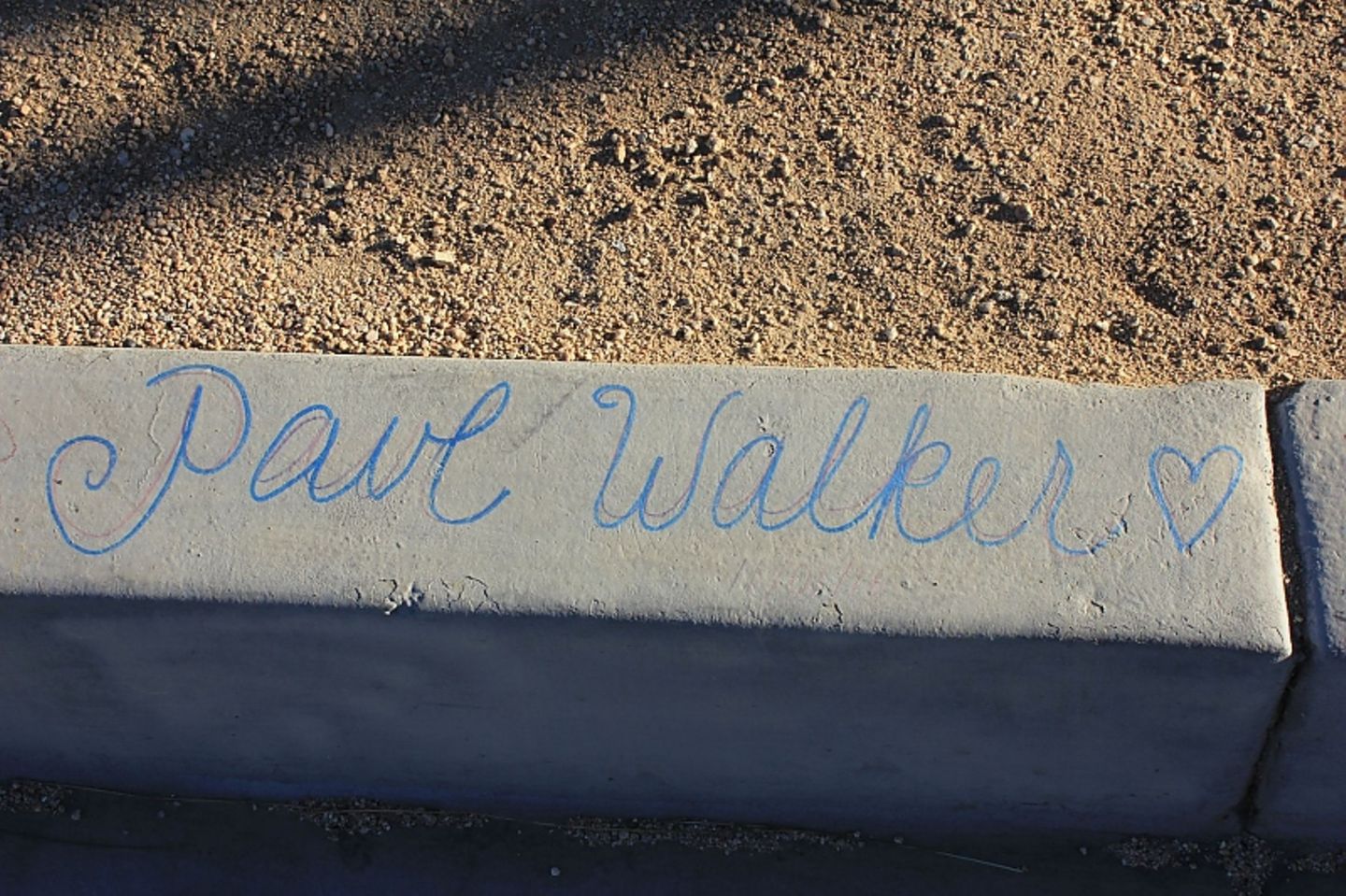 Paul Walker (115)