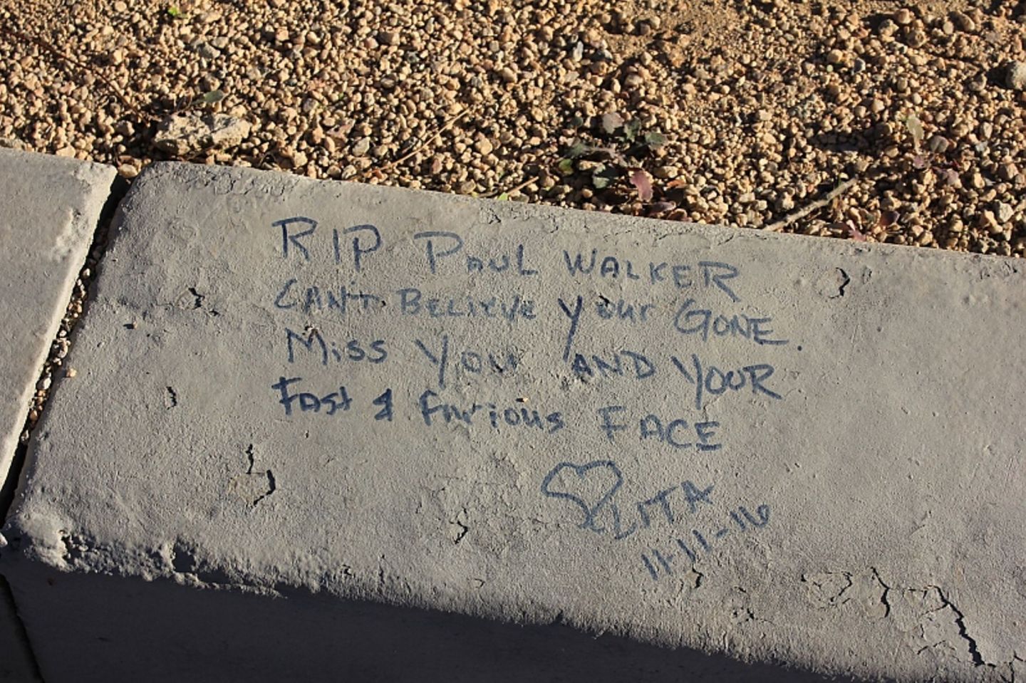 Paul Walker (116)