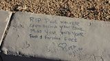 Paul Walker (116)
