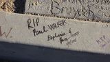 Paul Walker (119)