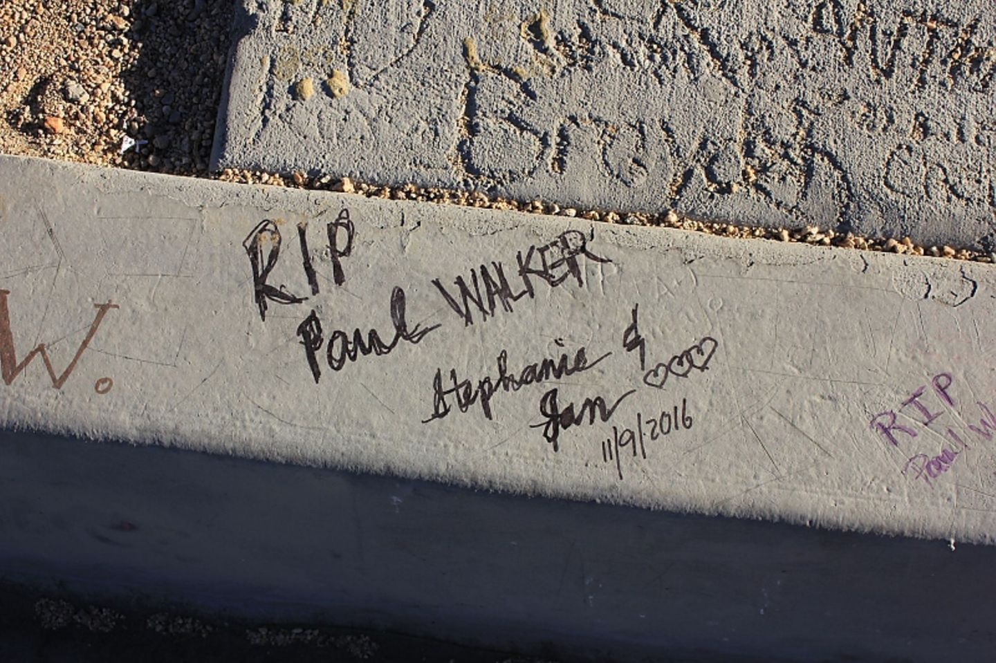 Paul Walker (119)