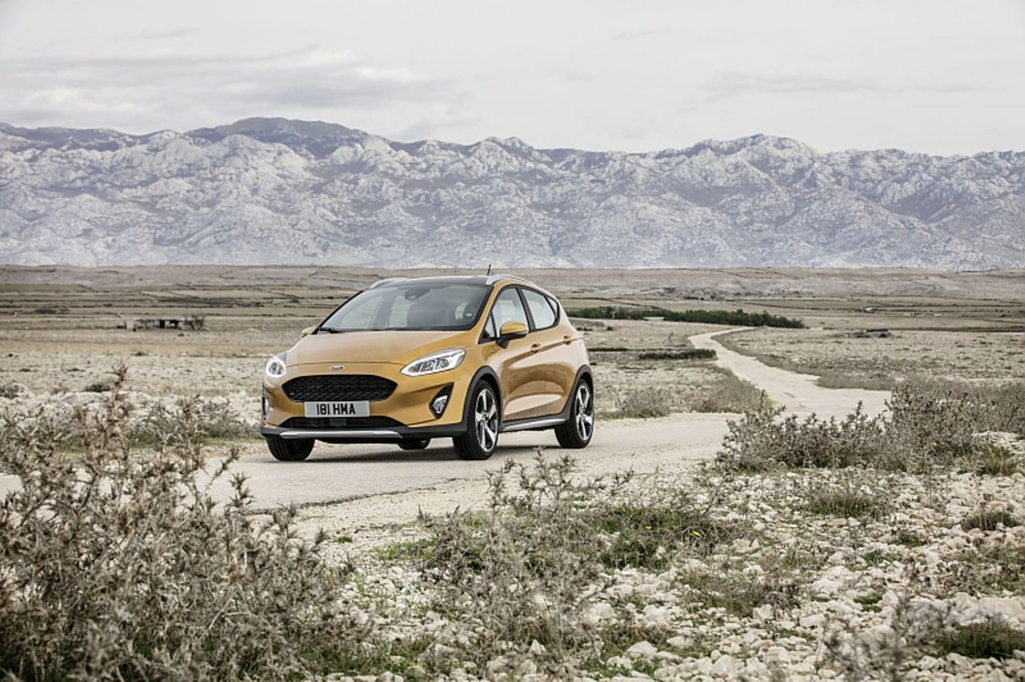 Der Ford Fiesta ist ab Mitte 2017 erhältlich
