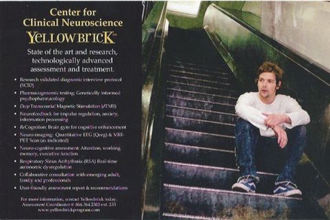 Ein Werbe-Flyer des Instituts 