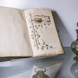 Benzreise von Gottlieb Daimler