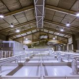 Das Regallager befindet sich streng gesichert in Fellbach