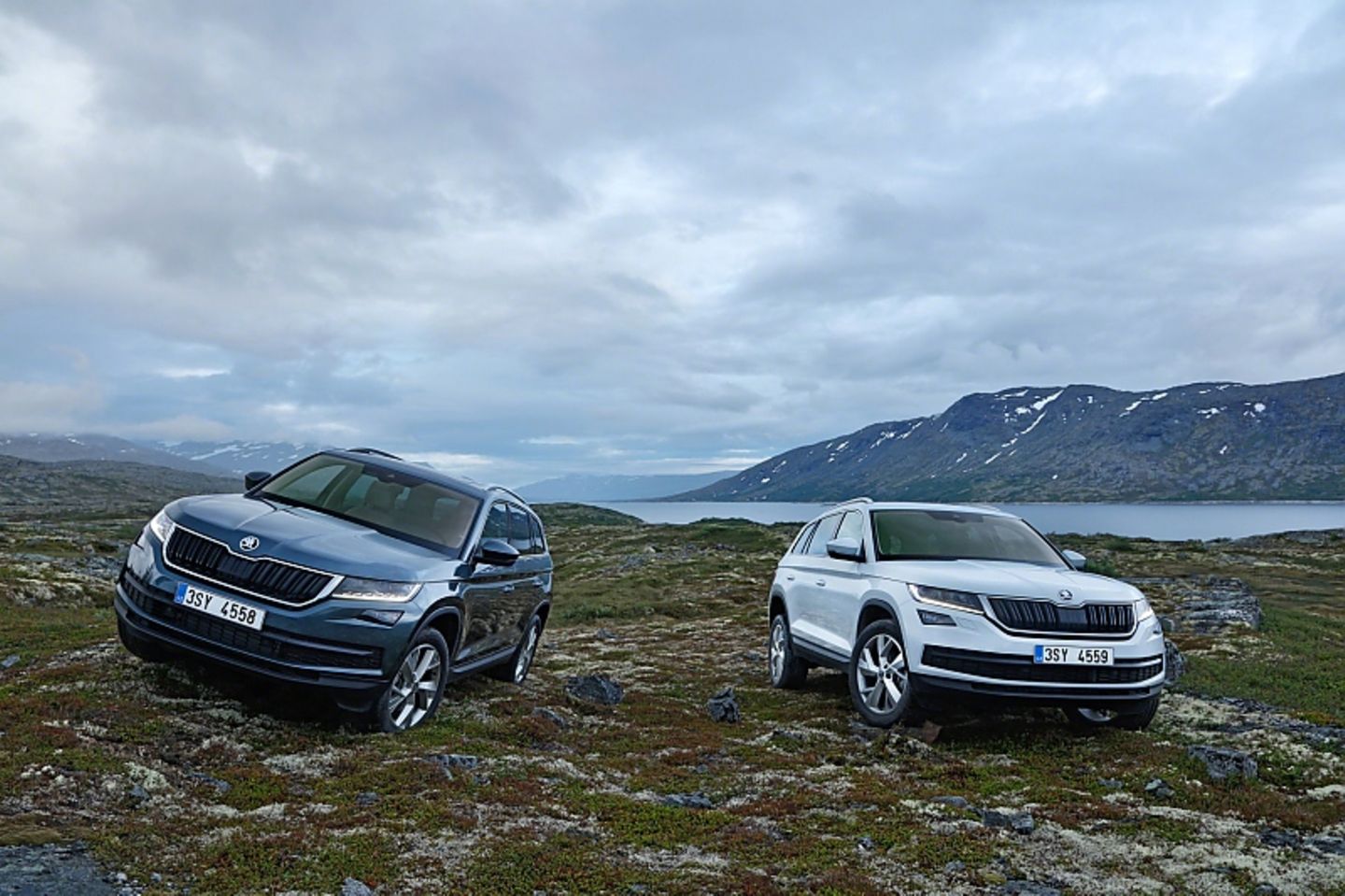 Skoda Kodiaq 2017