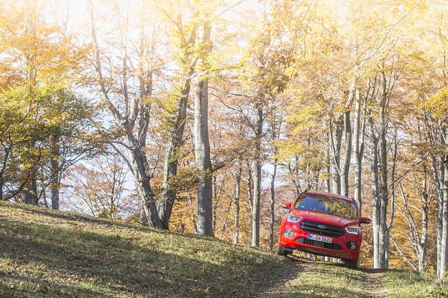 Ford Kuga ST Line 1.5 l EcoBoost 4x4