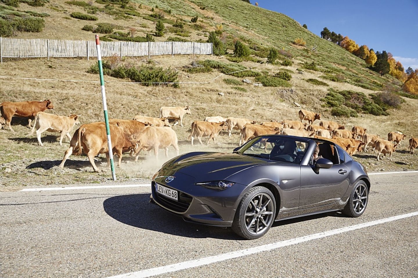 Mazda MX-5 RF 2.0 - 118 kW / 160 PS Mazda MX-5 RF 2.0 - 118 kW / 160 PS