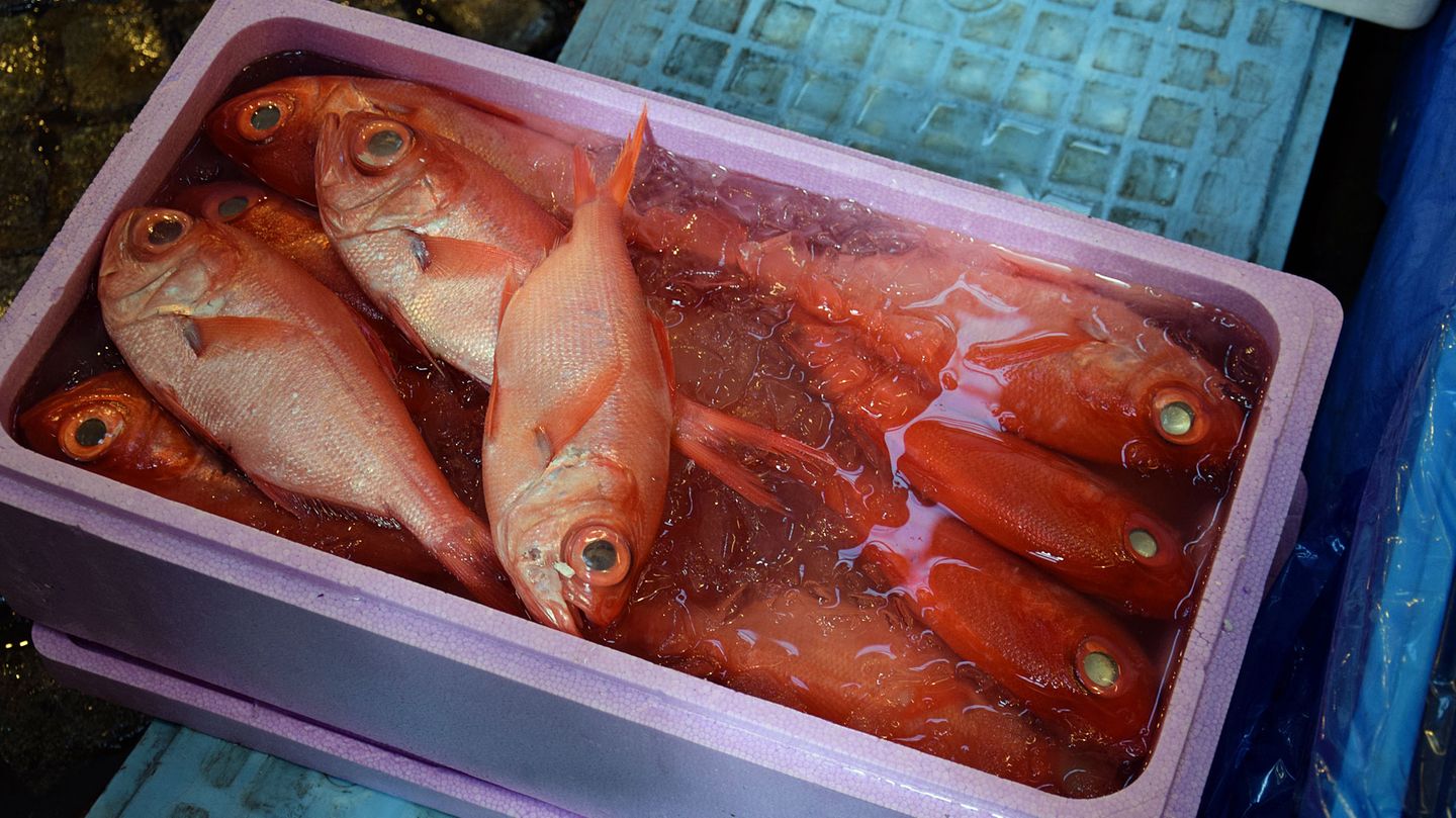 Tsukiji-Markt in Tokio