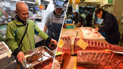 Rundgang über Tsukiji-Fischmarkt: Mit Tokios Sushi-Meister auf Thunfischjagd