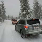 Der Forester ist der beliebteste Subaru.