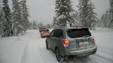 Der Forester ist der beliebteste Subaru.