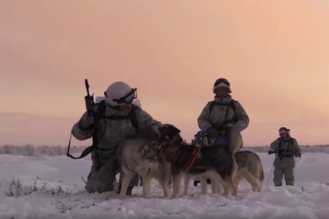 Die russischen Soldaten proben den Einsatz unter extremen Bedingungen: Wenn Motoren in der Kälte versagen, laufen Schlittenhunde weiter.