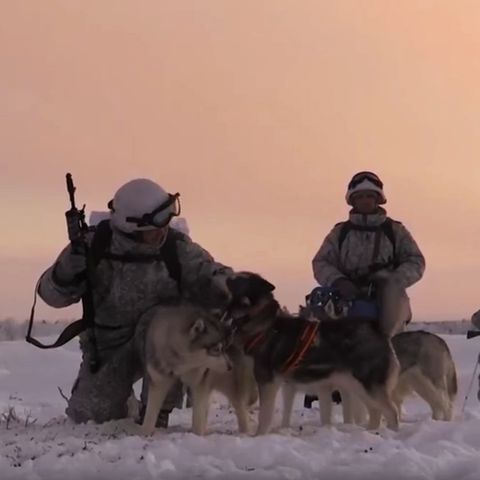 Die russischen Soldaten proben den Einsatz unter extremen Bedingungen: Wenn Motoren in der Kälte versagen, laufen Schlittenhunde weiter.
