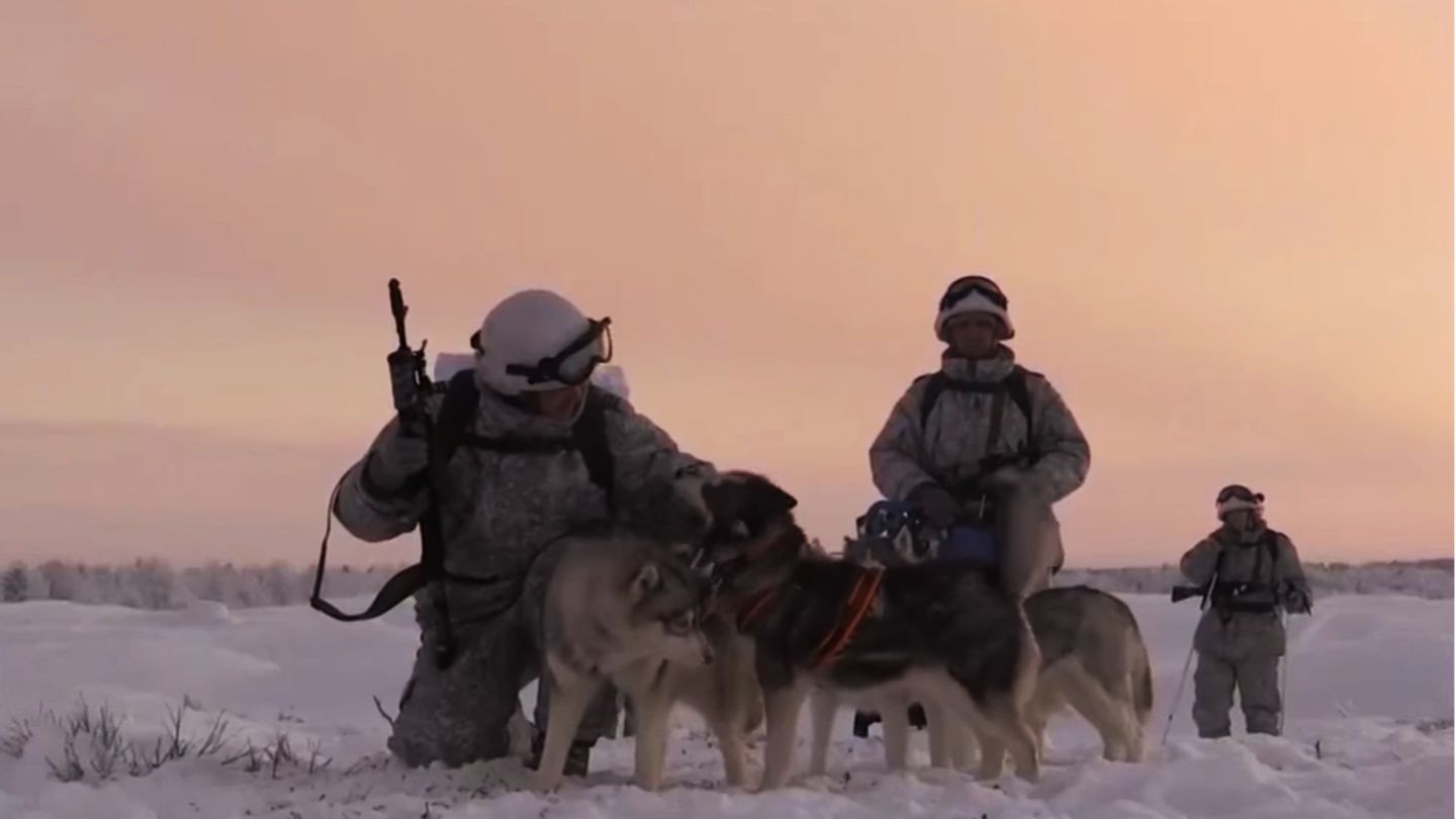 Die russischen Soldaten proben den Einsatz unter extremen Bedingungen: Wenn Motoren in der Kälte versagen, laufen Schlittenhunde weiter.
