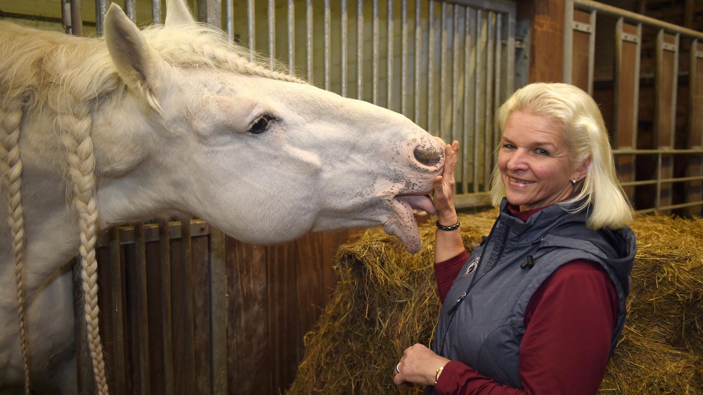 Carmen Hanken