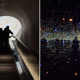 The Broad Yayoi Kusam