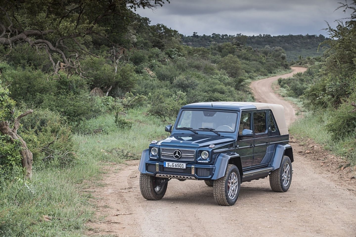 Mercedes Maybach G 650 Landaulet - perfekt für die Wüstensafari