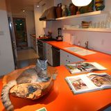 The Desert Star Palm Springs