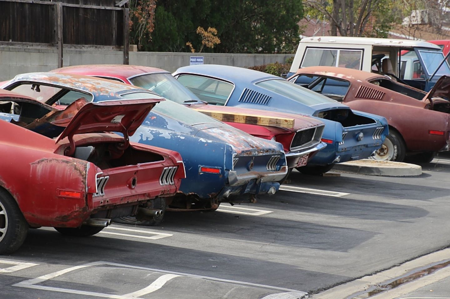 Aus diesen alten Mustangs werden in wochenlanger Arbeit Ford Mustang Eleanors