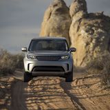 Er macht auf jedem Untergrund eine gute Figur.