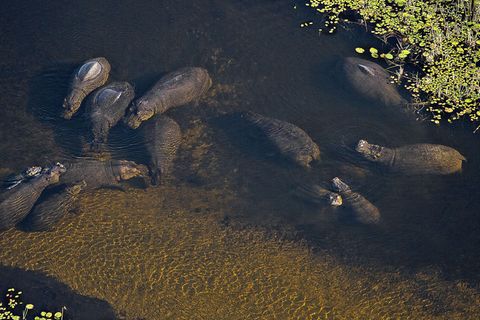 Botswanas Okavango-Delta